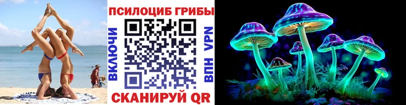 сколько стоит  Дмитриев  гидра ONION  Псилоцибиновые грибы GOLDEN TEACHER 